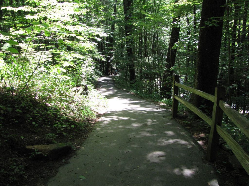 Anna Ruby Falls