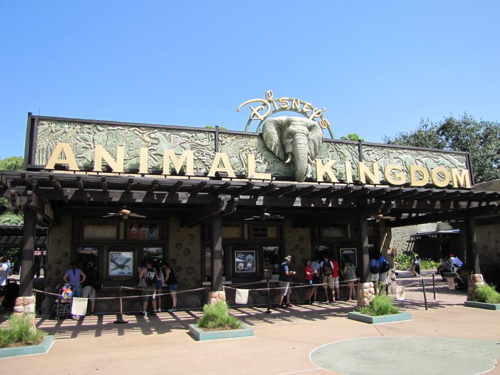 Animal Kingdon