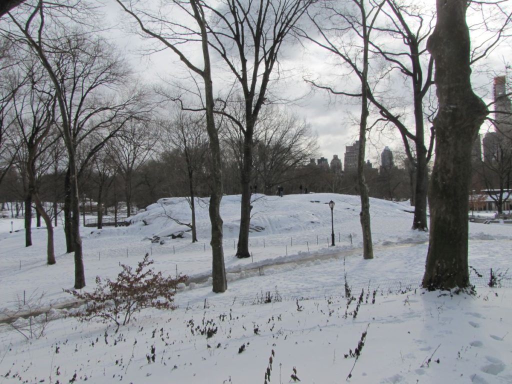 Central Park - Vinter