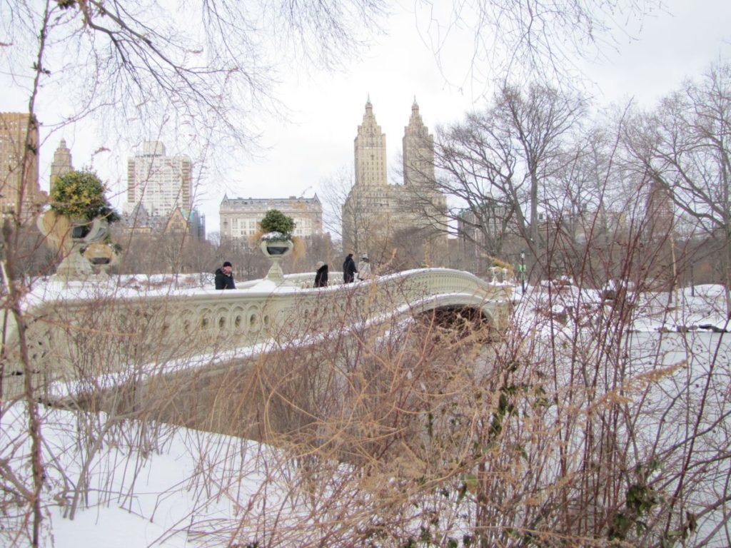 Central Park - Vinter