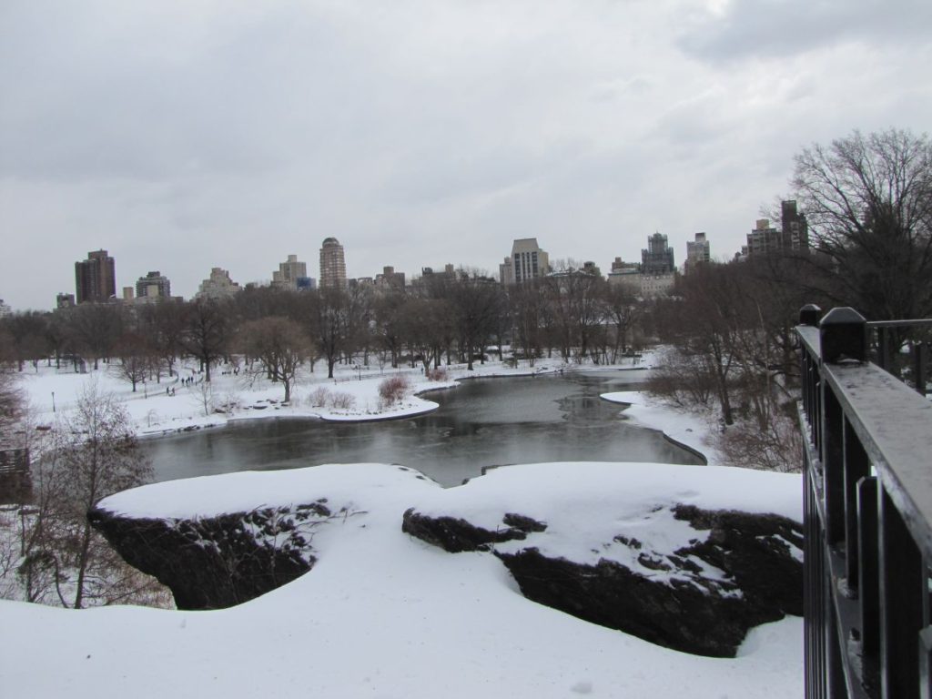 Central Park - Vinter