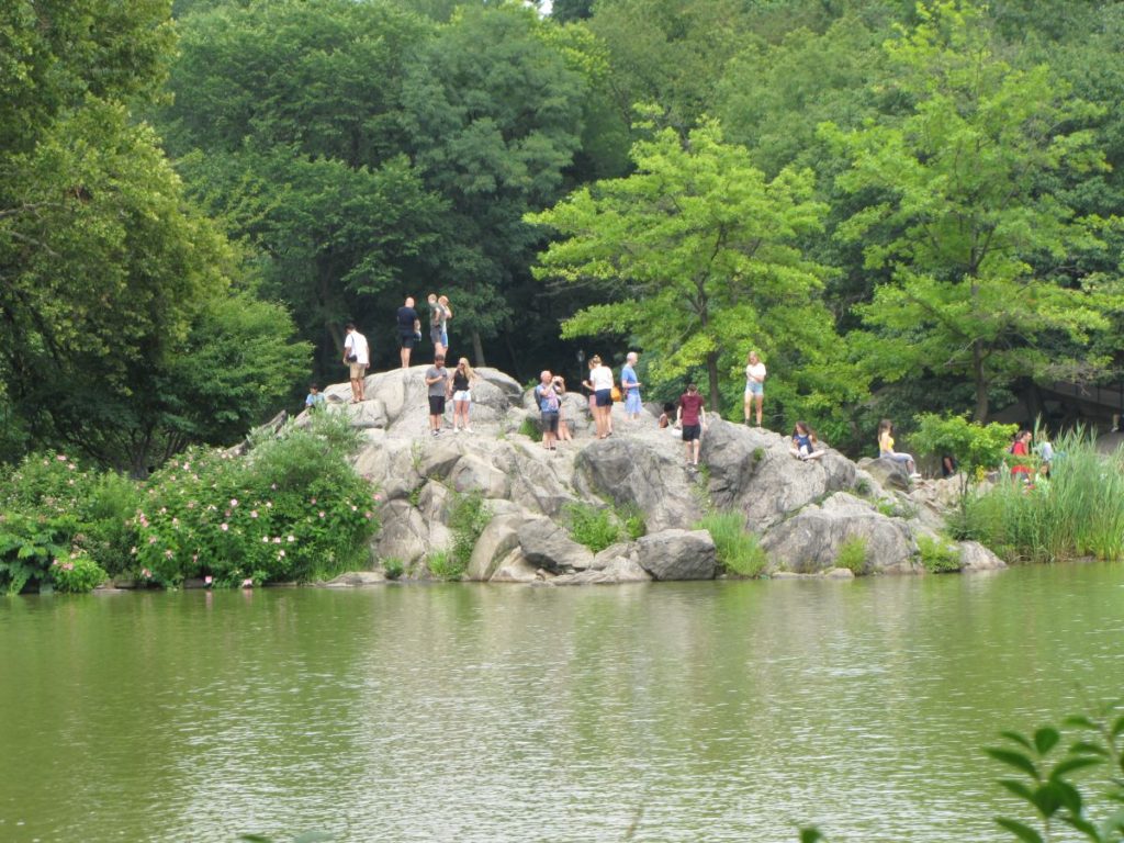 Central Park - Sommer