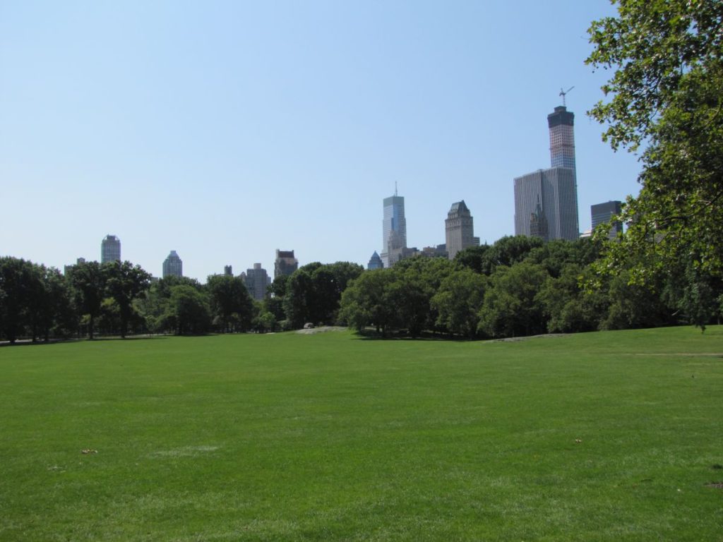 Central Park - Sommer